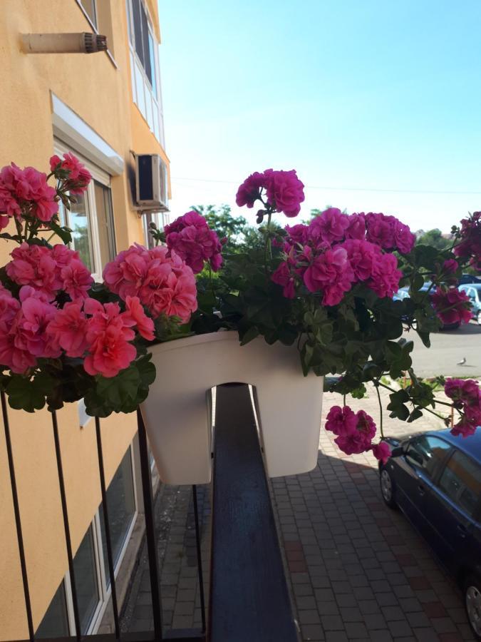 Angel Apartament 시비우 외부 사진